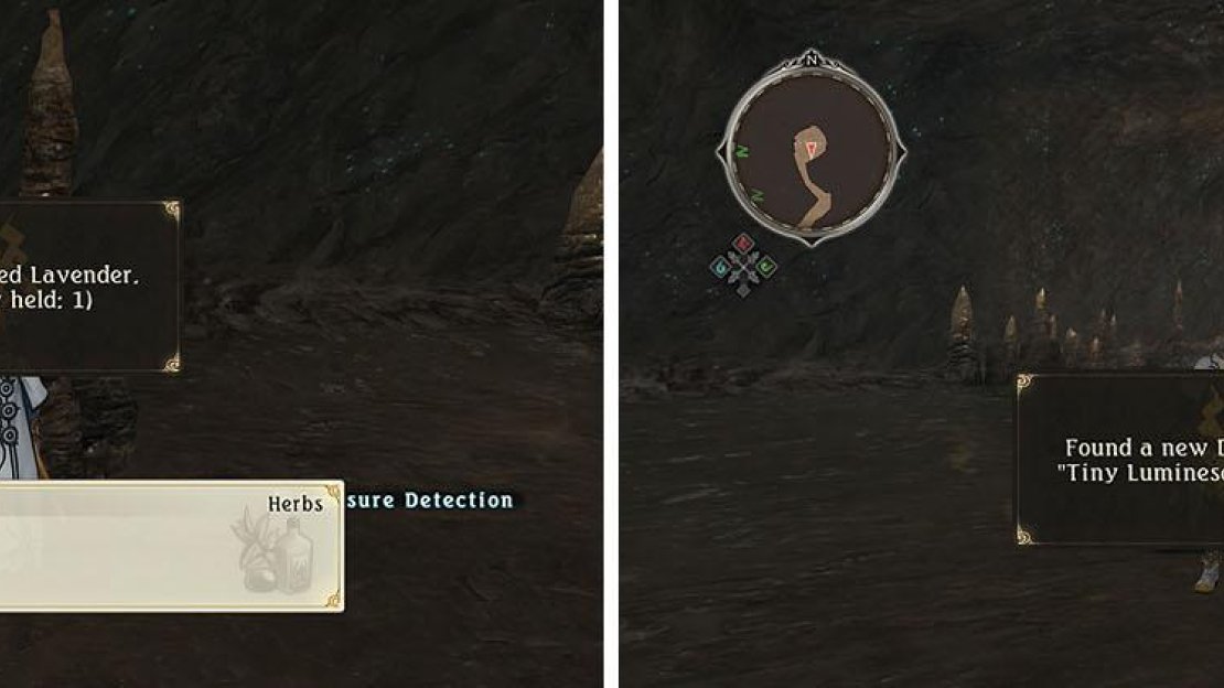 Gather the herbs in the cavern (left) and then look up for a discovery (right).