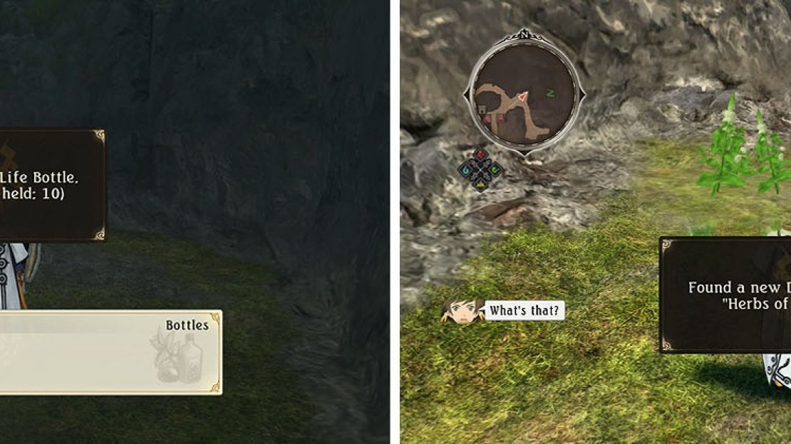 Grab the Life Bottle (left) to the south of the Herbs discovery and skit (right).