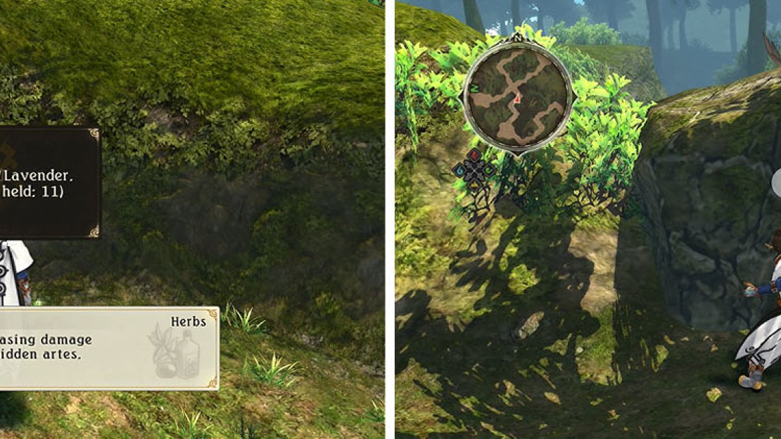 Break the boulders to find a dead end with a gold chest and Lavender (left). The remainder of the boulders can be removed for shortcuts (right).