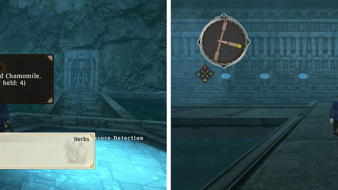 Collect the herb at the entrance (left) and make your way to the room with multiple non-decorative eyes (right).
