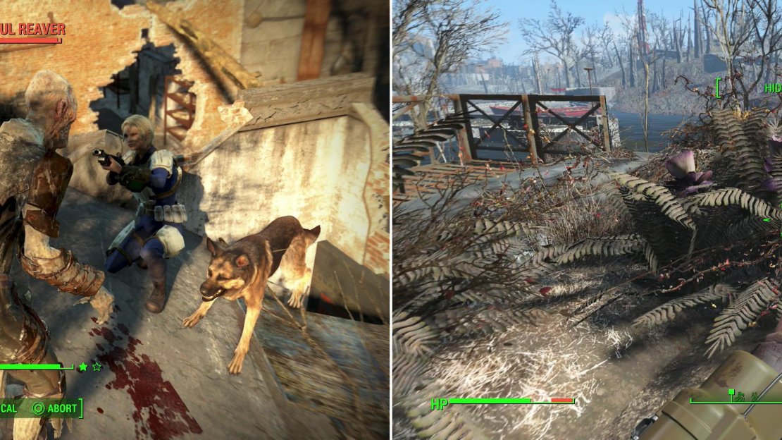 In the swampy ruins of Forest Grove Marsh, many Feral Ghouls prowl, waiting to feast on unwary intruders (left). Be sure to pick a Mutated Fern while you’re here, as it’ll come in handy later (right).