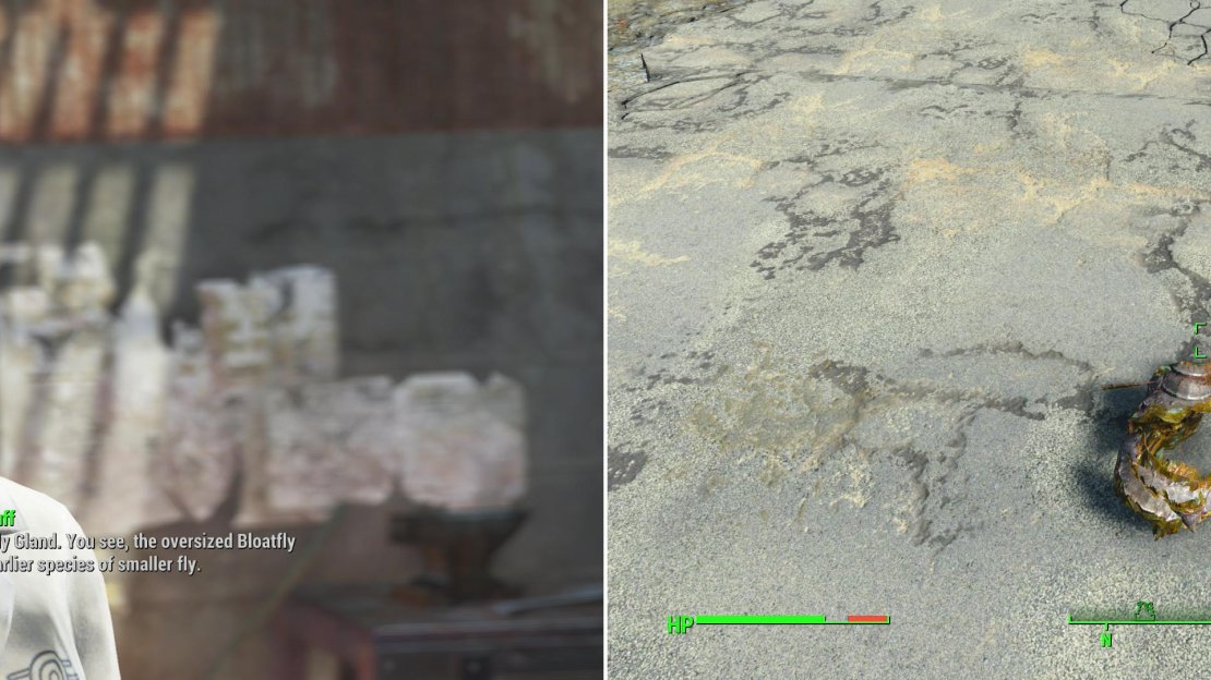 Doctor Duff in Diamond City will delegate the duty of delivering a Bloatfly Gland to her (left). You can find a Bloatfly which is guaranteed to drop such a gland outside of the Poseiden Energy Turbine #18-F area (right).