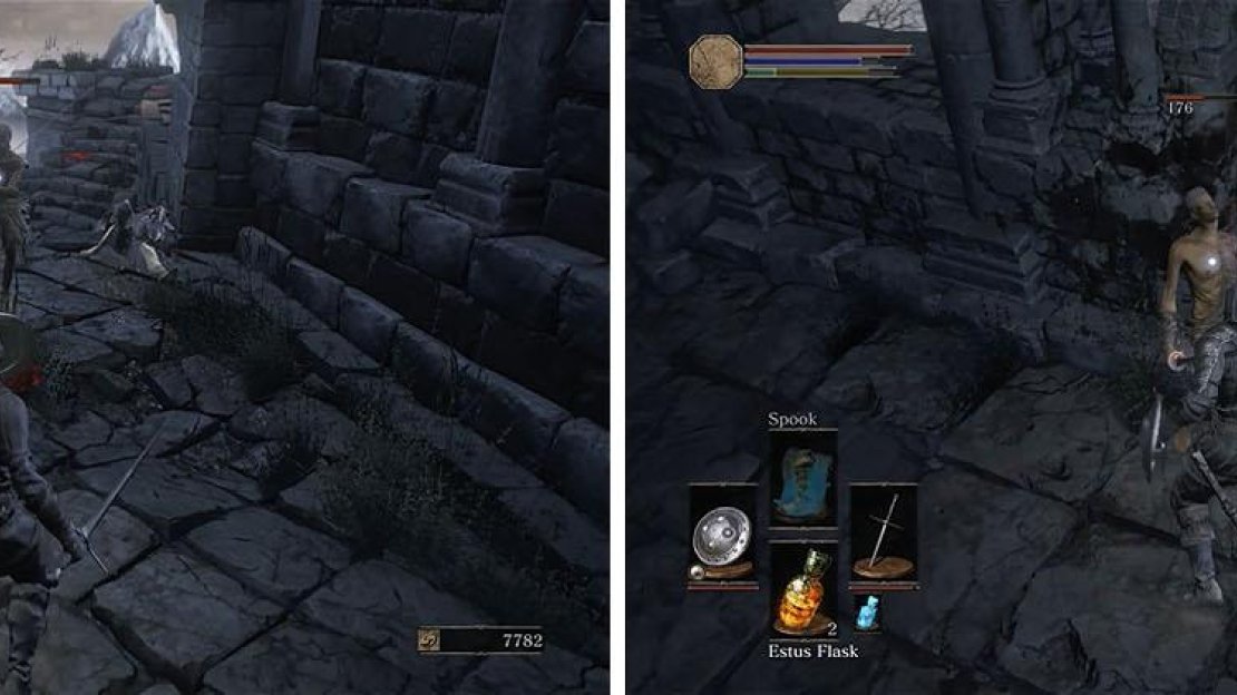 Pull the Sword Master back into an area where you have more room to maneuver, using long combos to attack before you roll back to avoid his counter attacks.