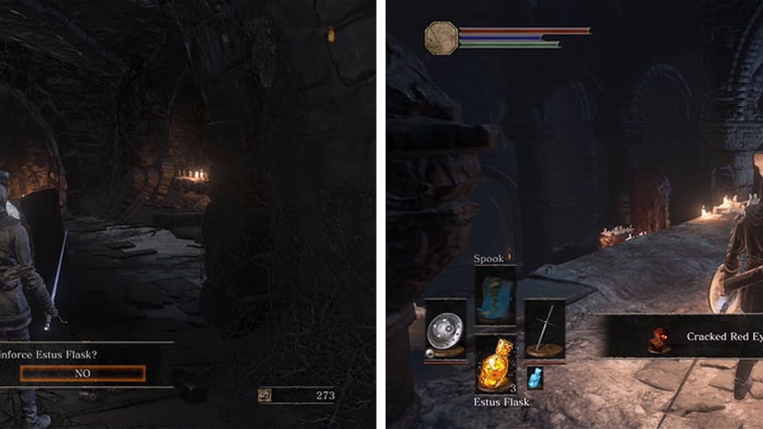 Reinforce your Estus Flask and speak with Rinfinger Leonhard at Firelink.