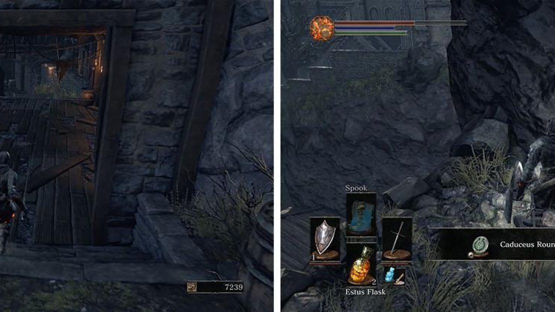 Head back to the bridge near the burning tree and enter the building (left). This will exit to the other side of the structure near a treasure (right).