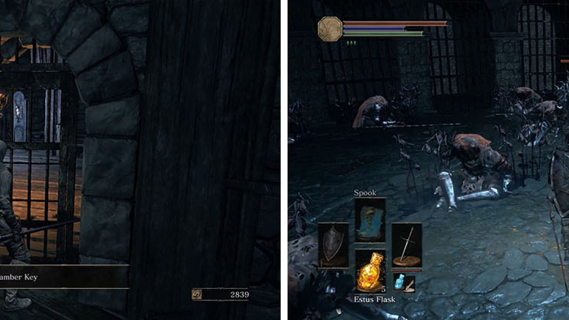 Unlock the gate in High Wall of Lothric to find the Darkwraith.