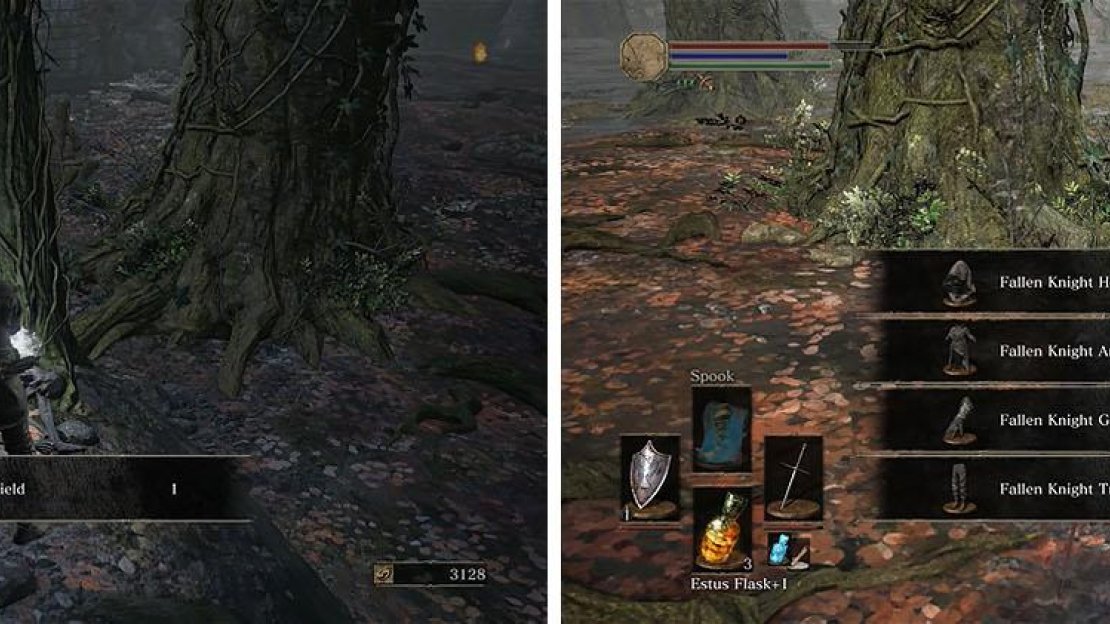 Grab the shield on the ledge and the Fallen Knight Armor by the water.
