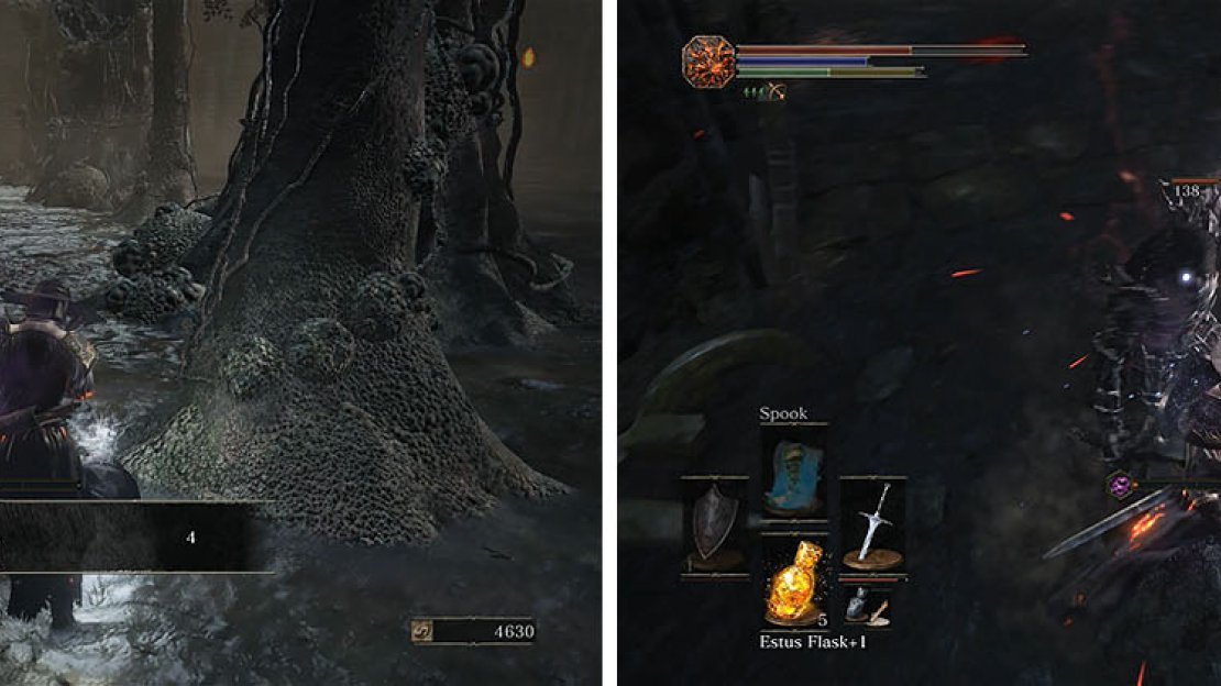 Collect the items as you pass through the woods (left) and on the other side you’ll encounter a Darkwraith (right).