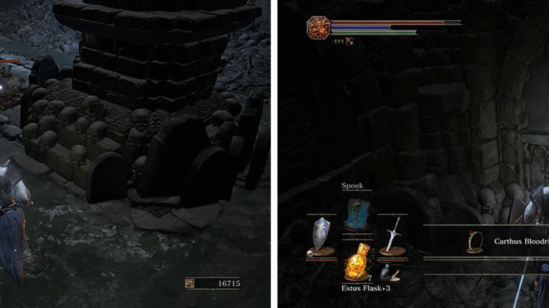 Avoid the Rotten Flesh that fall from the ceiling and collect the Carthus Bloodring.