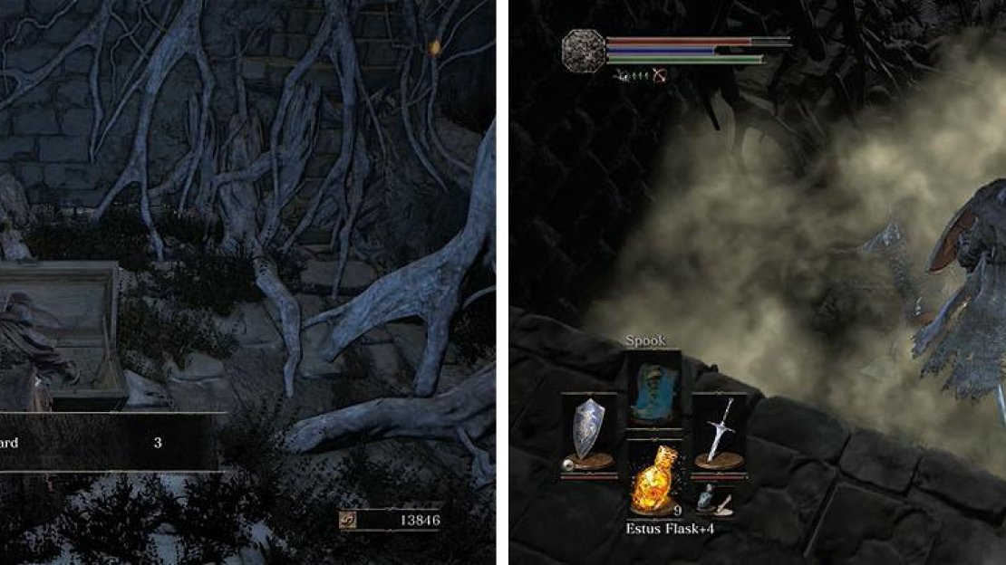 The hidden path reveals a chest with some shards, but behind that is another hidden path that leads to the area above the basilisks.