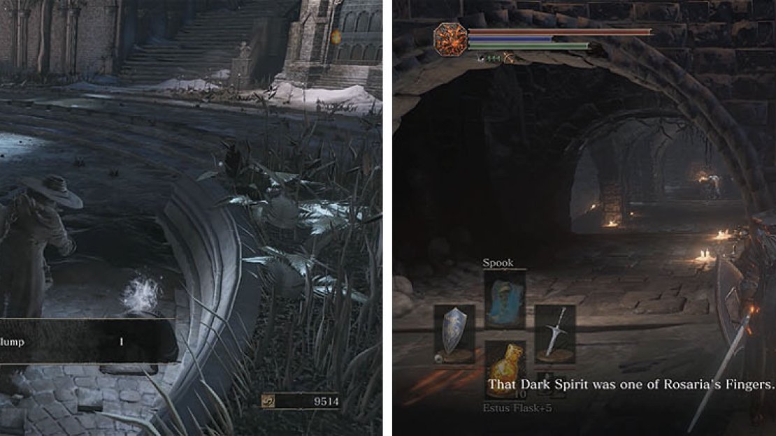 Collect the items in the courtyard and stop at Firelink to speak with Sirris.
