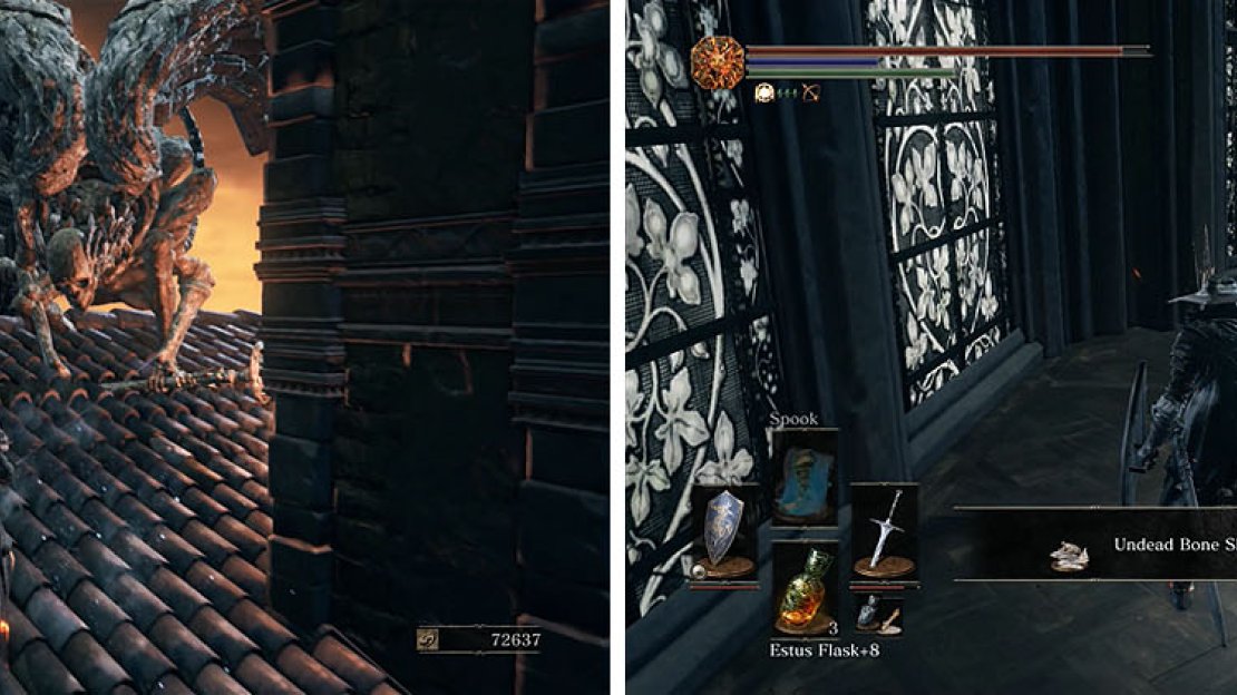 Fight or flee past the two Stone Gargoyles and then collect the Bone Shard inside.