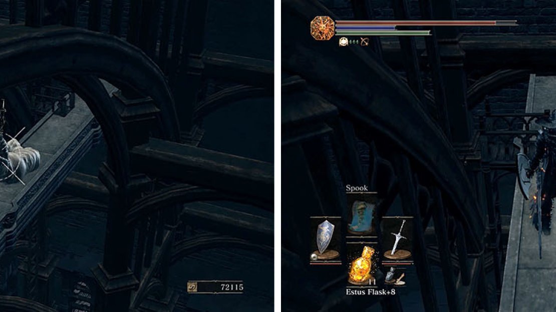 Make sure to shoot the Man-grub before you drop down and take a ladder.
