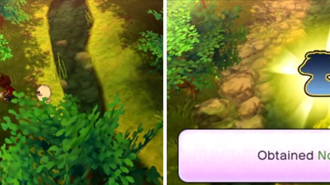 You’ll find the items for Noko Hunt on the ground as sparkly things near the water.