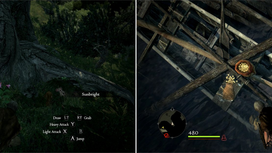 You can find some Sunbright clustering around some large trees on Seabreeze Trail (left). Near the shore, on the other hand, you can find some money scattered around some wreckages (right).