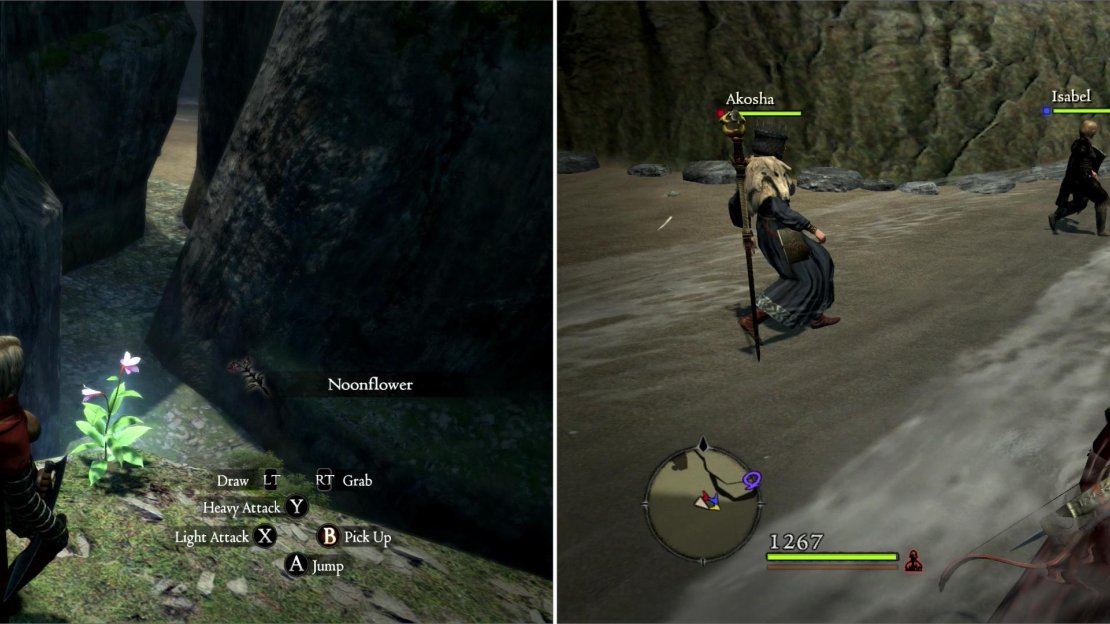 With some careful jumping you can obtain the very rare Noonflower (left). The fishing spots along Bloodwater Beach can yield Giant Fish (right).