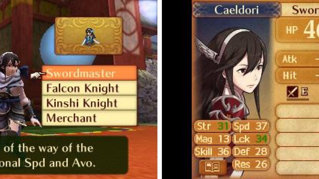 Possible reclassing options for a character.
