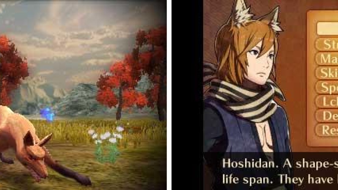 What does the fox say?