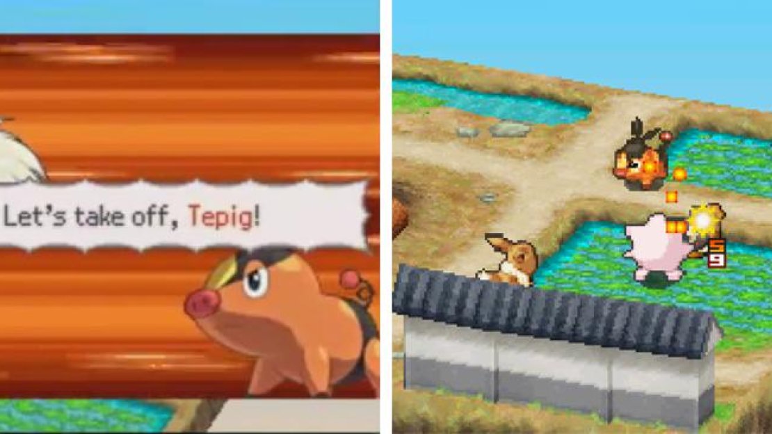 Let’s get this fight going: Eevee and Jigglypuff fighting against Tepig.