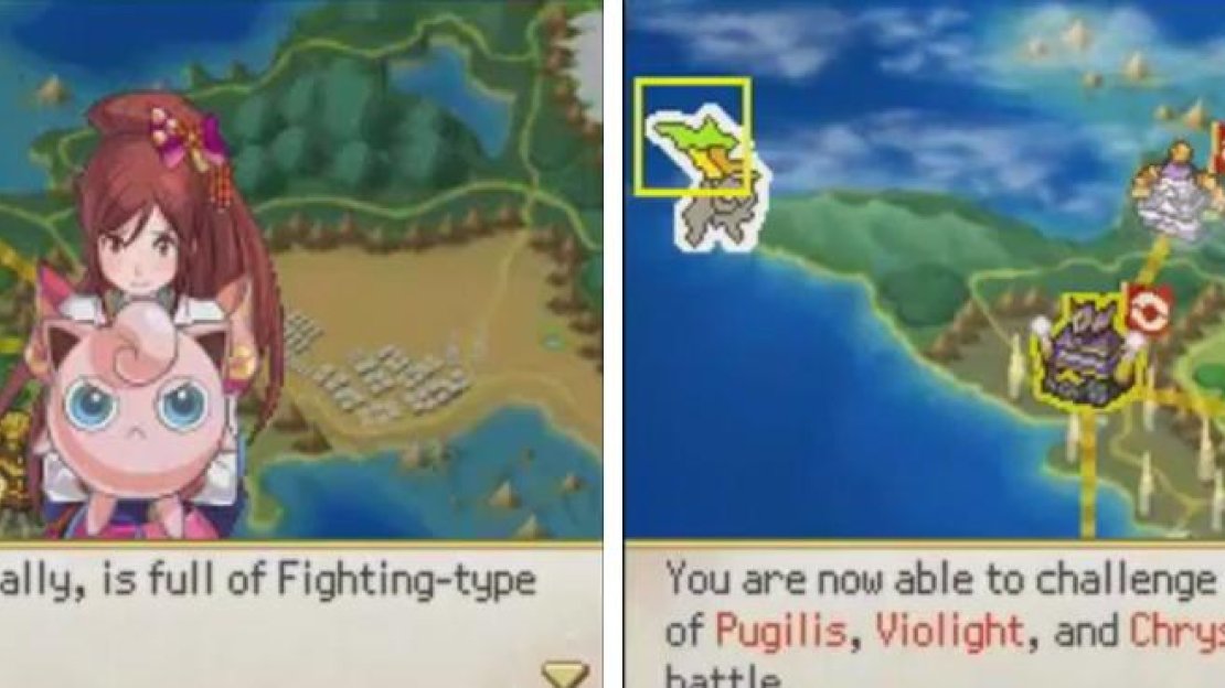 Fighting types, huh?
