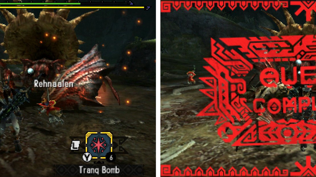 Always bring extra traps and tranqs in case the first one fails!