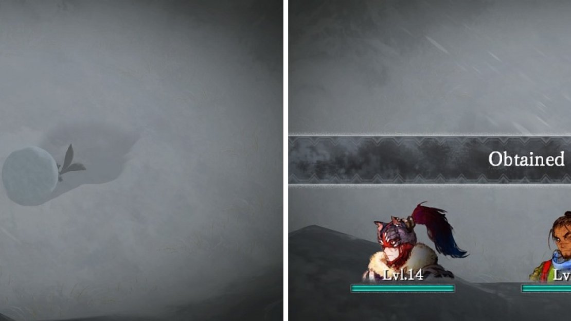 Spritnite-Eaten monsters are tougher than normal ones (left). Defeating them will reward you with a lot of experience (right).