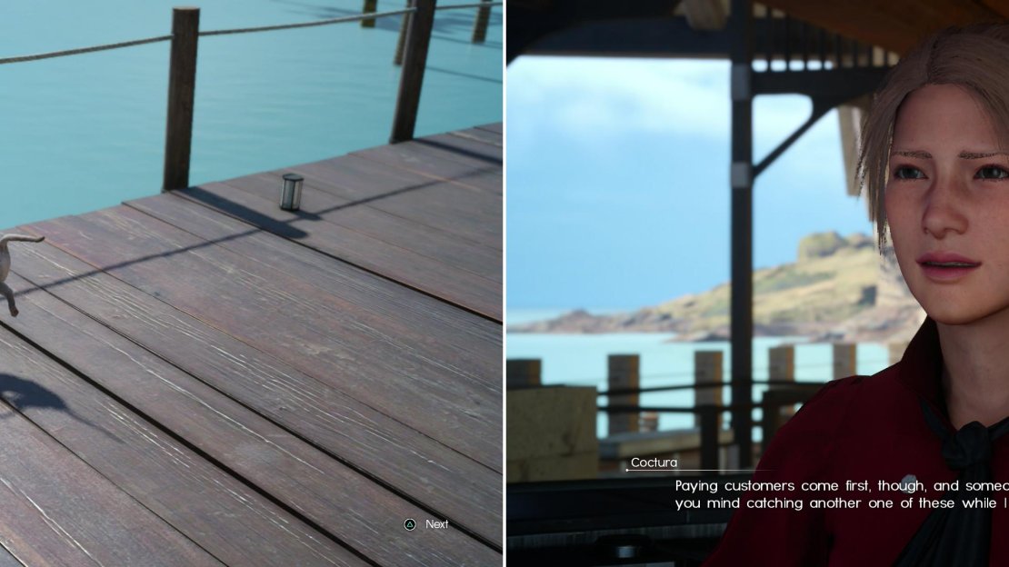 Offer a spoiled kitty some Trevally, and the wretched cat will dramatically reject it! (left) Visit the Mother of Pearl and have the fish properly prepared to appease the fussy feline (right).