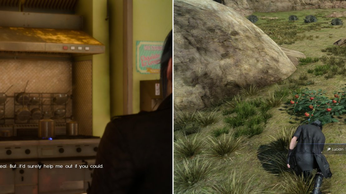 Takka will, out of pity (and pressure from Cid) offer you some work (left). Go find him some Lucian Tomatoes nearby to appease him (right).