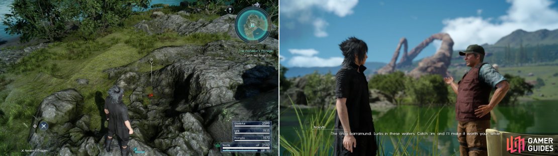 Hunt for Sania&rsquo;s red frogs in the search area near Neeglyss Pond - their croaks will give them away (left). Talk to Navyth to enter into a friendly fishing competition (left).