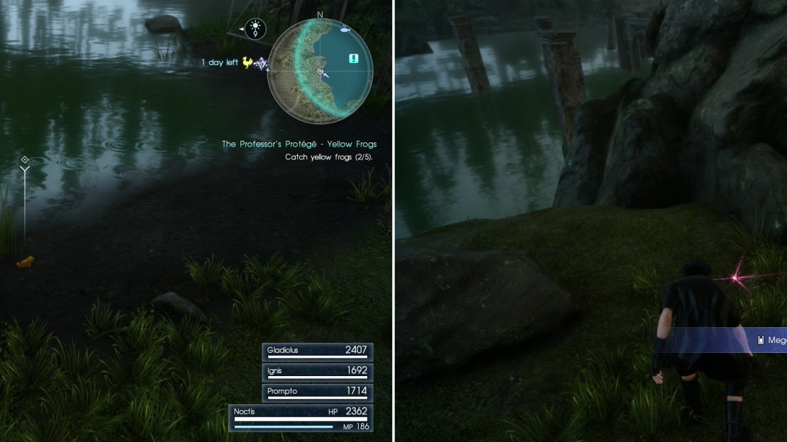 Search around the Forgotten Pool Fishing Spot to find yellow frogs (left), and while you’re here, search a Treasure Spot to find a Megalixir (right).