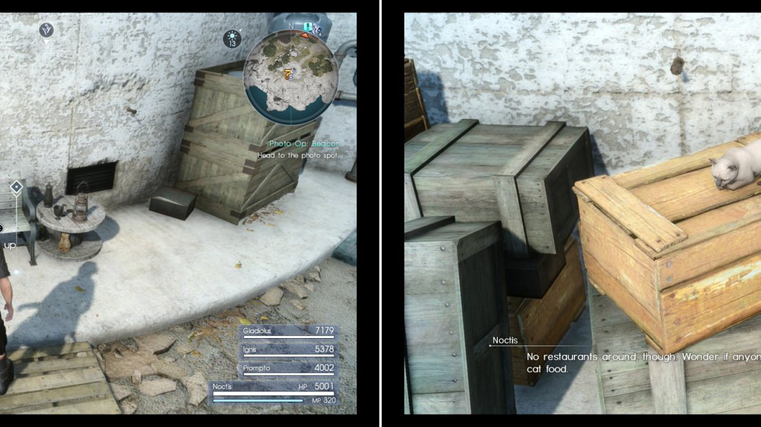 Search behind the beacon at Cape Caem to find an Oracle Ascension Coin (left), then search a crate to find the picky puss from Galdin Quay (right).