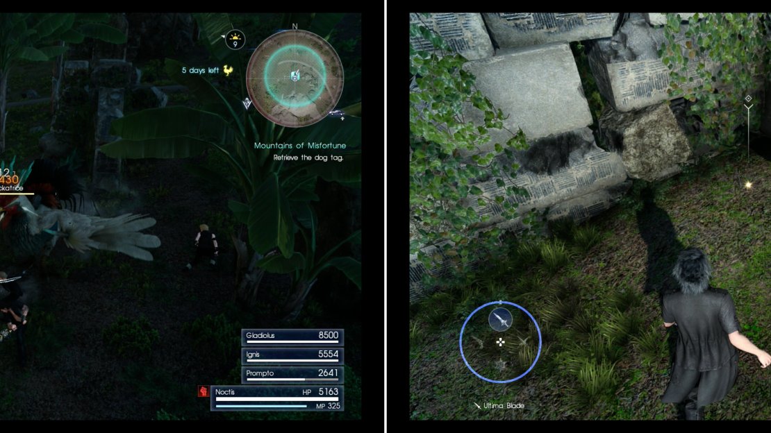 Kill a Cockatrice near some ruins (left) then pick up the Polished Dog Tag (right).