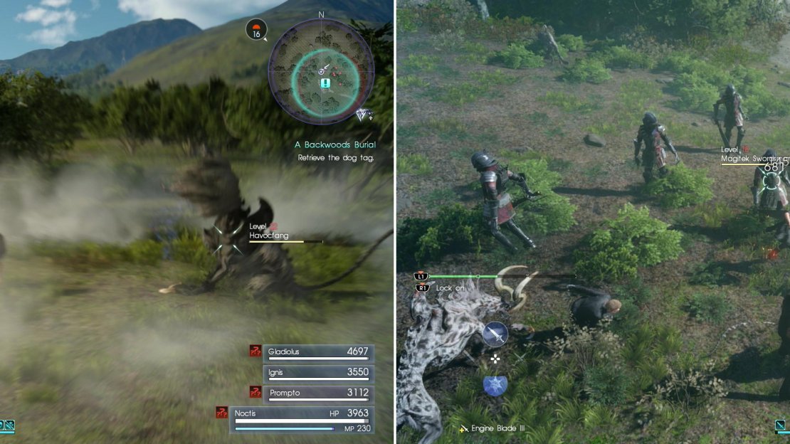 Havocfangs - whose howls can cause confusion - protect the Scratched Dog Tag (left). Imperial MTs will constantly pester you while you try to grab the Crushed Dog Tag (right).