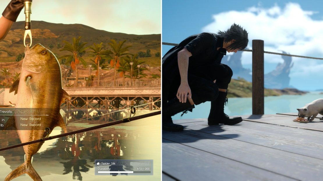 Catch a Galdin Trevally (left) and get Coctura to cook a meal for the fussy cat (right).