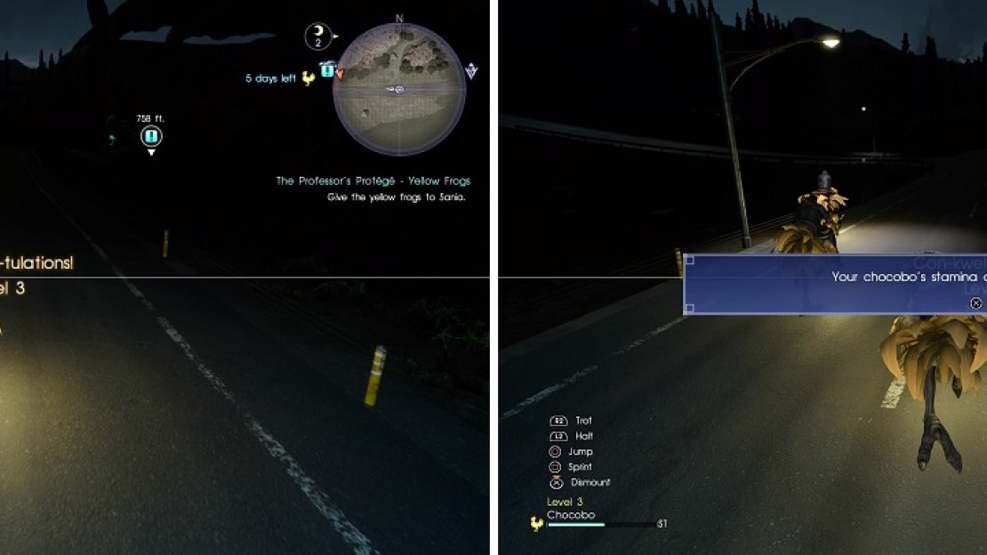 As you ride the Chocobo, it will level up (left) and gain both combat abilities and enhanced attributes (right).