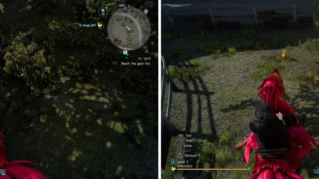 You can find some pears hidden during the races that will unlock more colors for your Chocobos.