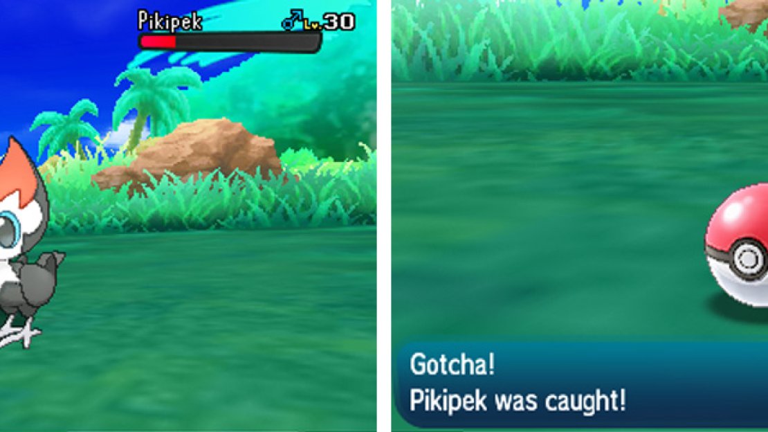 After catching a Pokémon, you can give it a nickname if you desire.