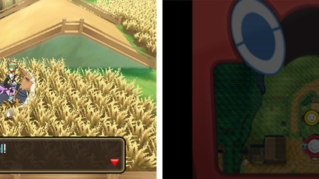 Finding hidden items in the middle of nowhere is easier with Stoutland.