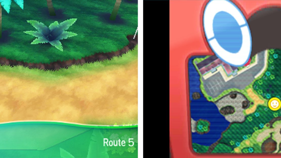 We arrive at Route 5 the long way.