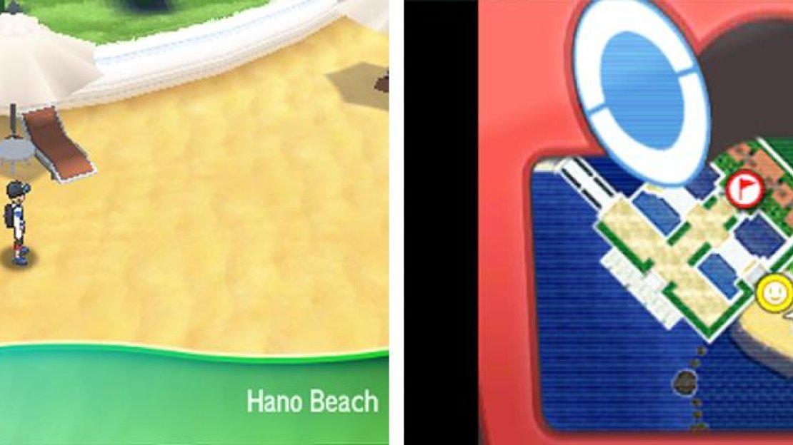 The resort beach is rife with discoveries.