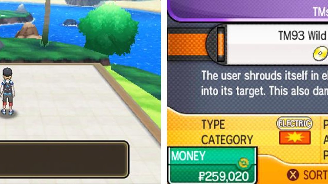 A decent Electric-type move for compatible physical attackers.