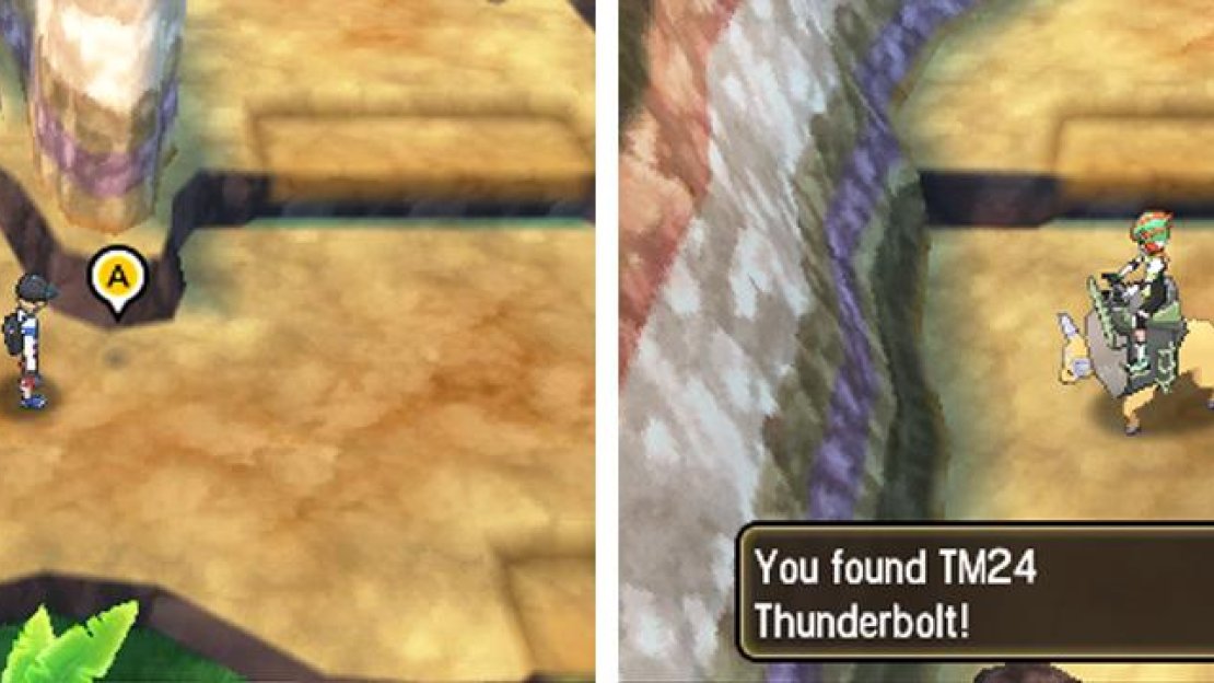 The most important items are the Zygarde Cells and TM.