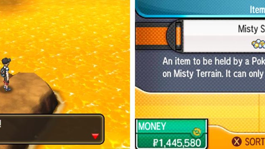 A good hold item for Tapu Fini.