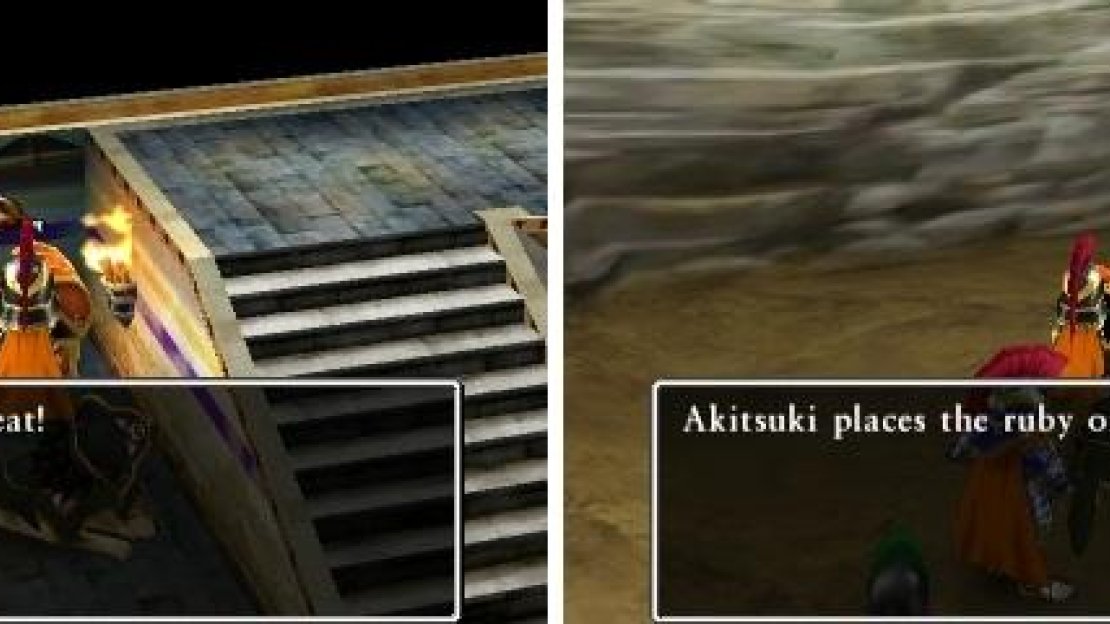 The Meaty Treat is useful for taming enemies for Monster Meadows (left). The Ruby of Protection is useful if someone needs a little extra defense (right).
