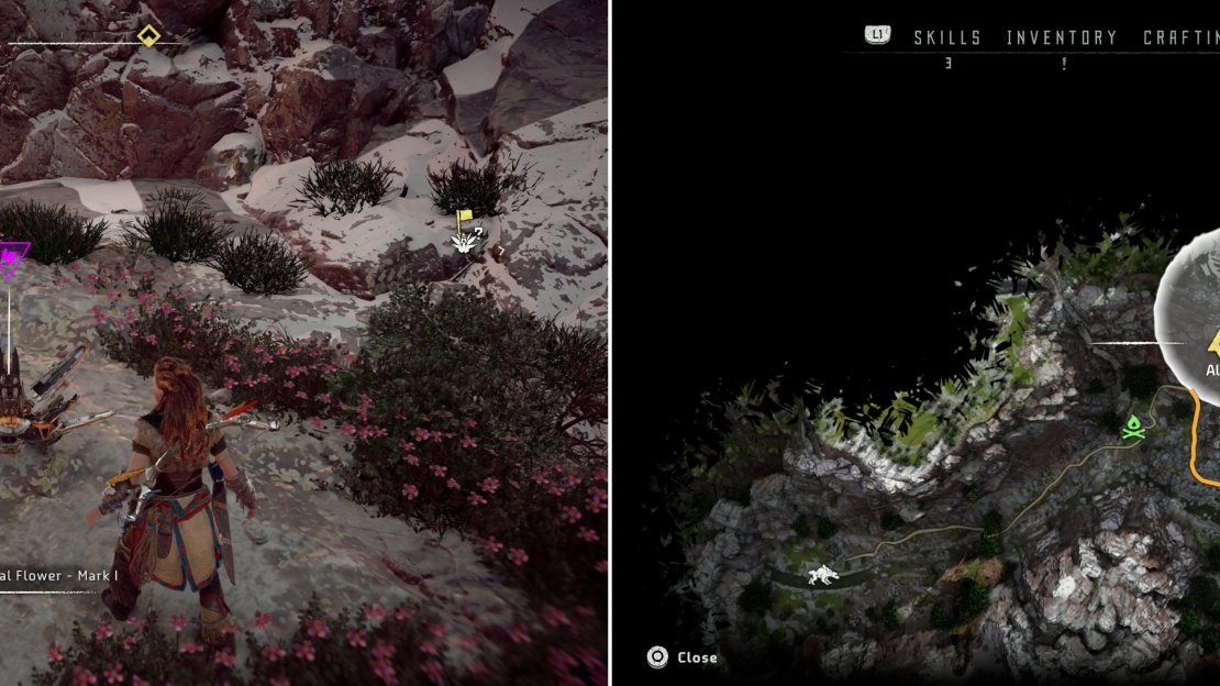 Scale a mountain along the western end of the Embrace to find Metal Flower - Mark 1 (B) (left) at the location indicated on the map (right).
