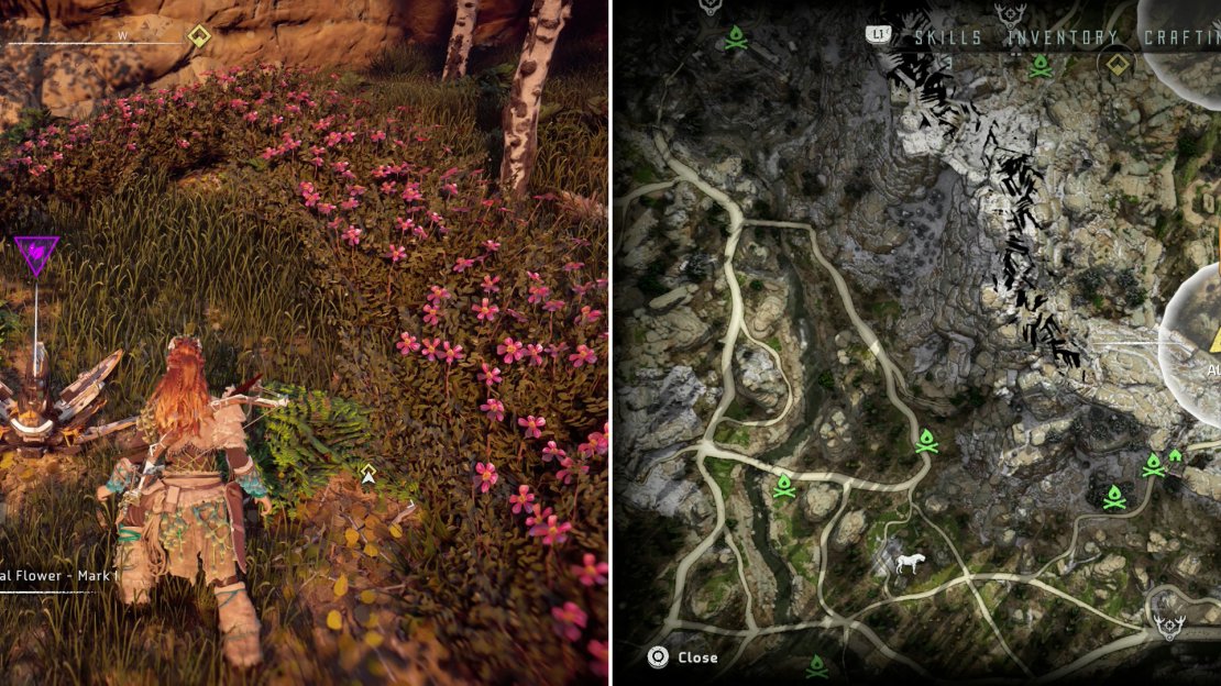 Pick up Metal Flower - Mark I (C) (left) at the position indicated on the map (right).