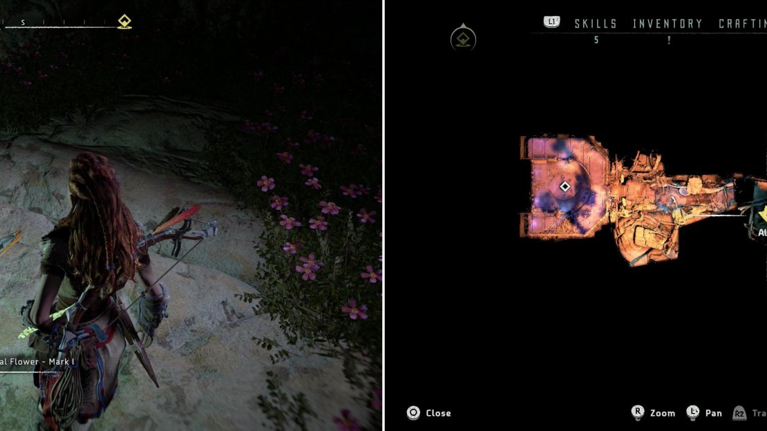 In some ancient ruins you’ll find Metal Flower - Mark I (F) (left) at the location indicated on the map (right).
