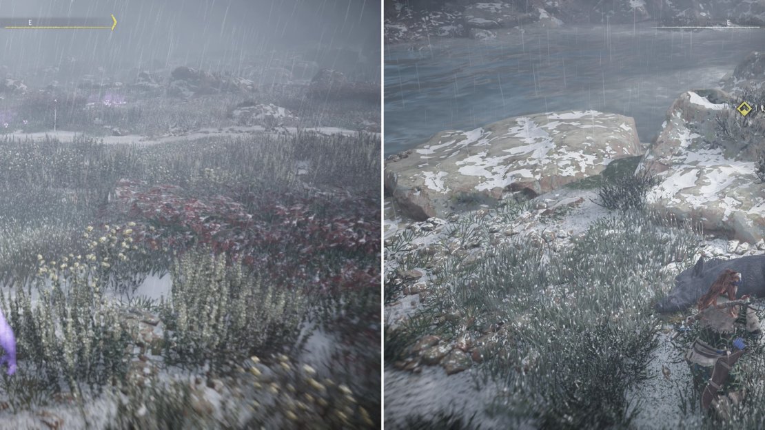 Track Taim’s past movements (left) to find a dead Boar, inside of which youll find Taim’s Lost Ring (right).