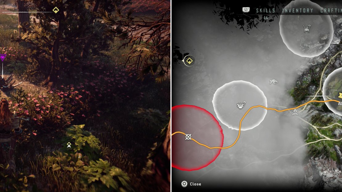 You’ll find Metal Flower - Mark I (I) (left) at the location indicated on the map (right).