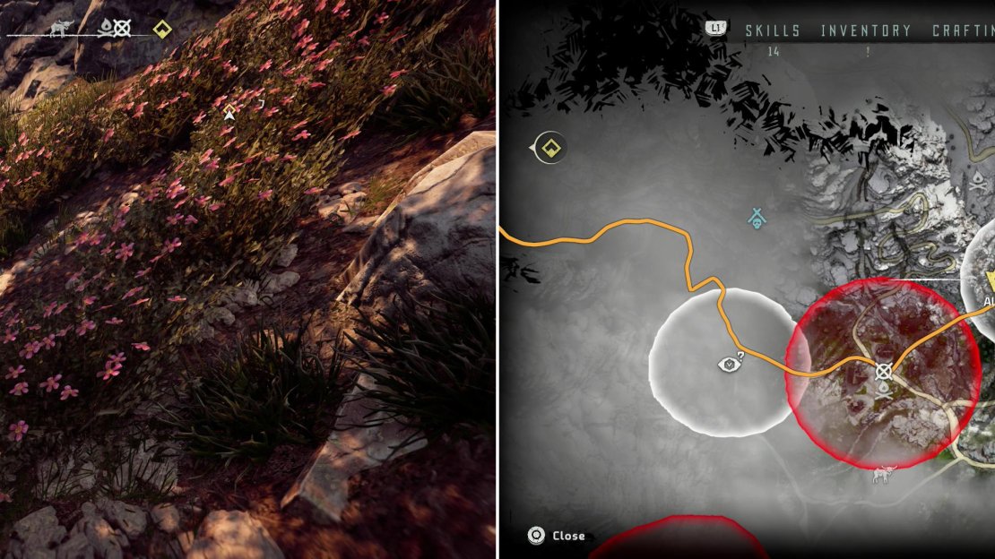 Grab Metal Flower - Mark I (J) (left) as indicated on the map (right).